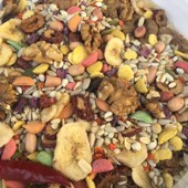 包邮 桶 中大型无壳灰鹦鹉饲料鸟粮食天空5斤装 新品