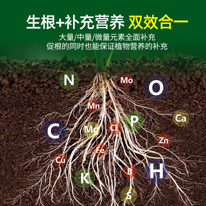 大树复活生根液树木移栽生根壮苗剂植物通用营养液枯树再生激活液,鲜花速递/花卉仿真/绿植园艺,家庭园艺肥料,淘宝优惠券,粉丝福利购,淘宝优惠卷