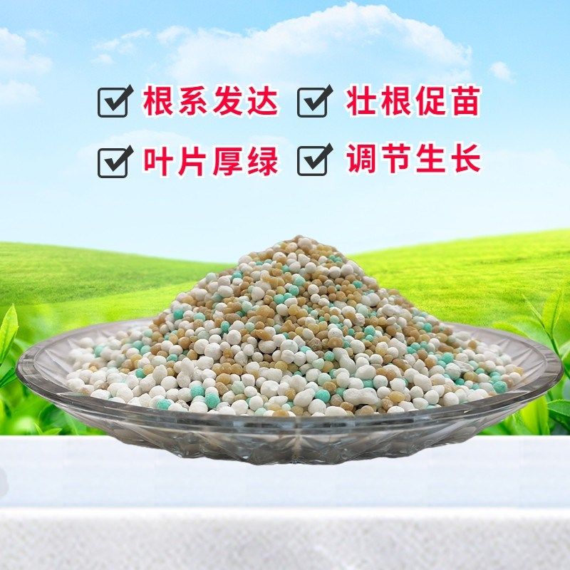 柑橘象山红美人砂糖橘无核沃柑专用复合肥盆景地栽绿植物果树肥料,鲜花速递/花卉仿真/绿植园艺,家庭园艺肥料,淘宝优惠券,粉丝福利购,淘宝优惠卷