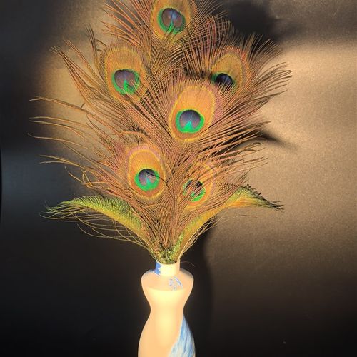 纯天然孔雀羽毛真品高档中式家居客厅装饰摆件饰品真毛花瓶孔雀翎