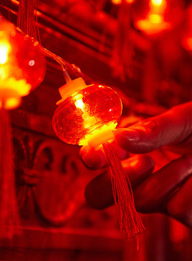 户外防水挂树灯笼发光结婚院子彩灯氛围布置装饰树挂的树上小串灯