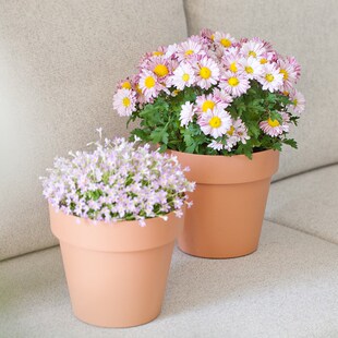 虹越嘉伯瑞花盆塑料耐用家用带托盘白色塑料花盆小号霍恩种植花盆