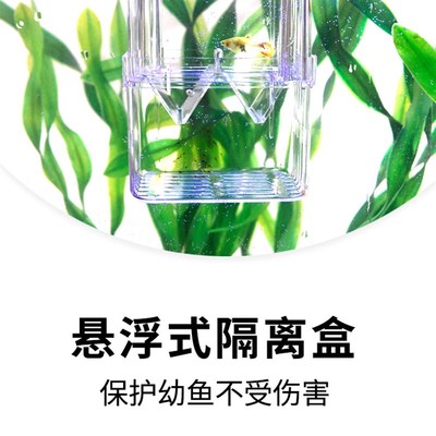 孔雀鱼繁殖盒鱼缸亚克力隔离盒特大号产卵孵化产房小鱼苗幼大小鱼