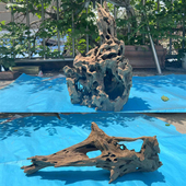 鱼缸造景虾木多孔蜂窝躲避木天然幼鱼观赏虾繁殖窝龙骨木虾屋沉木