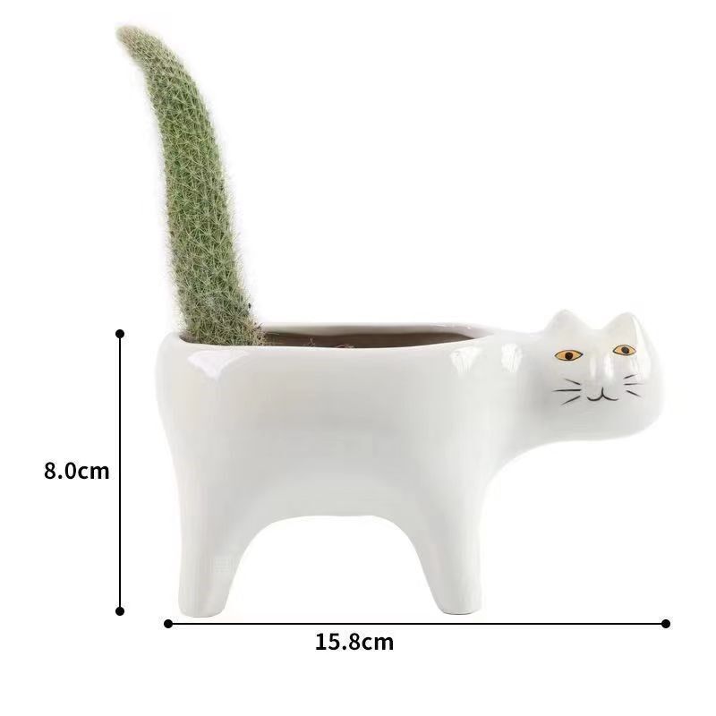 【送盆土铺石】猴尾巴猫咪花盆九尾狐多肉植物创意绿植花卉盆栽