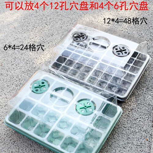 家庭园艺育苗箱大号高盖24孔48孔穴盘多肉扦插植物播种育苗闷养盒