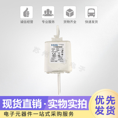 巴斯曼熔断器170M5808 5809 5810 5811 5812 5813可直拍 当天发货