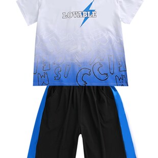 小胖子夏装加肥加大男童宽松大码短袖套装中大童薄款t短裤休闲2件