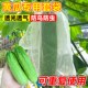 黄瓜套袋果袋防虫防鸟专用袋丝瓜苦瓜尼龙网纱网套袋神器透气透光