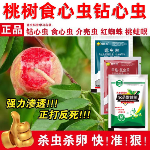 桃树杀虫噻高氯氟药李子蚜