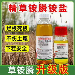 除草剂烂根剂一扫光精草胺铵磷果园杂草农药正品 精草铵膦铵盐正品