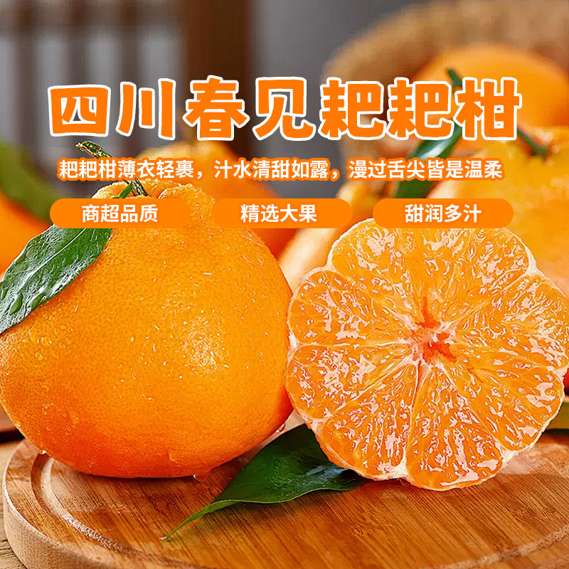 正宗四川春见耙耙柑新鲜水果整箱现摘Y2,水产肉类/新鲜蔬果/熟食,桔子,淘宝优惠券,粉丝福利购,淘宝优惠卷