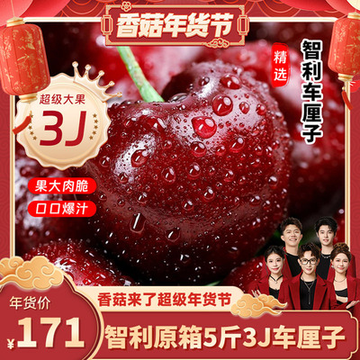 智利车厘子5斤JJJ级30mm-32mm