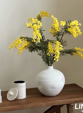 林与/金合欢黄色合欢花毛绒质感婚庆摄影家装花艺造景装饰插花