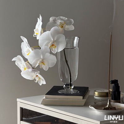 【加购榜TOP.1】高脚杯玻璃花瓶