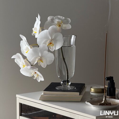 【小红书爆款】高脚杯玻璃花瓶