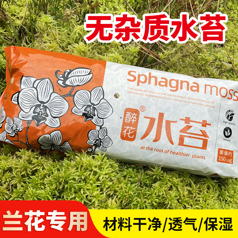速发水苔蝴蝶兰花苔养土无菌智力干培营兰花无土栽水介质花土