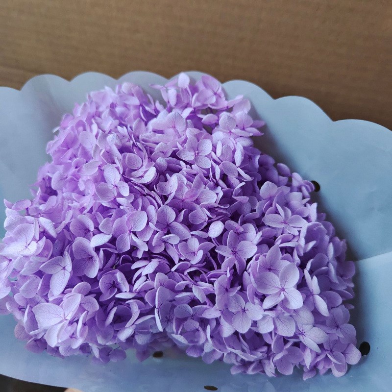 速发A级永生花绣球小叶安娜木绣球材料手工玻花罩扇头饰干璃团20