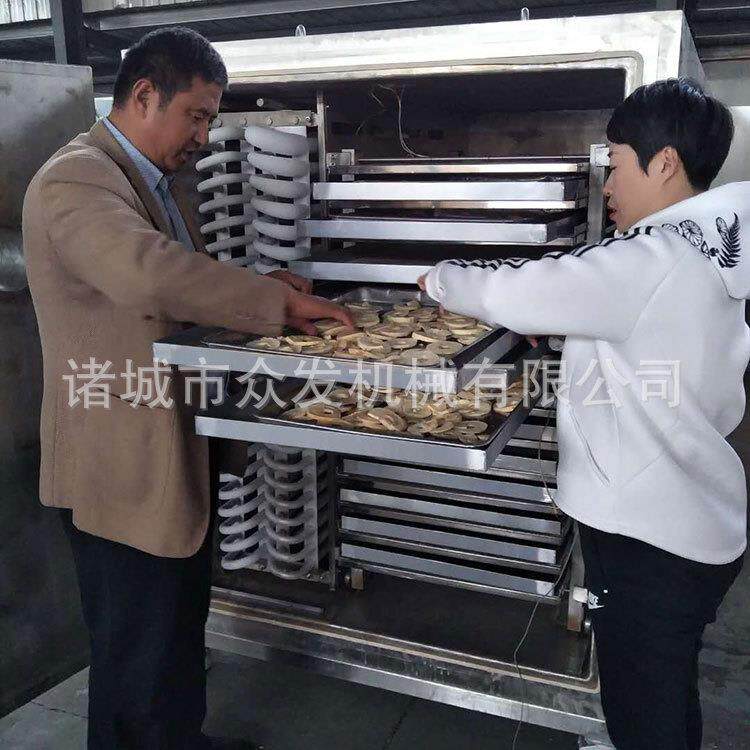 鸡胸丁真切空冻机10c 宠干物食品真空干燥设备 大虾海肉鲜低温冻