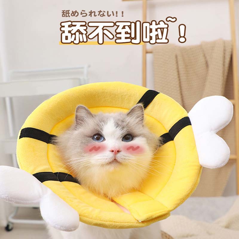 猫咪伊丽莎白圈幼猫绝育术后防抓防舔耻辱项圈可调节头套宠物用品
