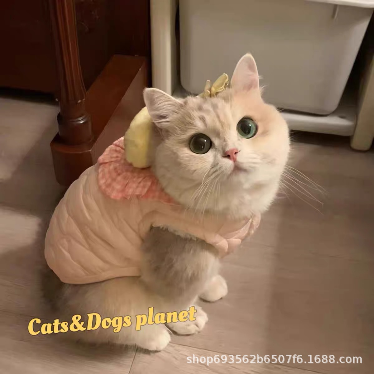 软萌可爱小鸭宠物衣服狗狗秋冬新款泰迪比熊夹棉保暖猫咪马甲背心