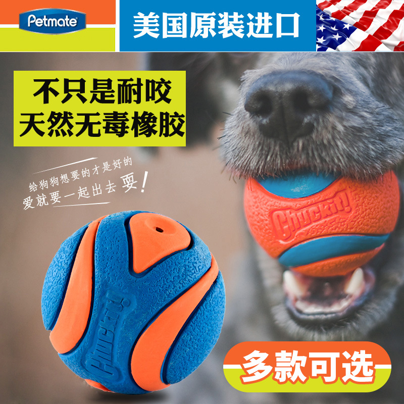 Petmate狗狗玩具橡胶球Chuckit经典弹球宠物耐咬磨牙互动发声遛狗