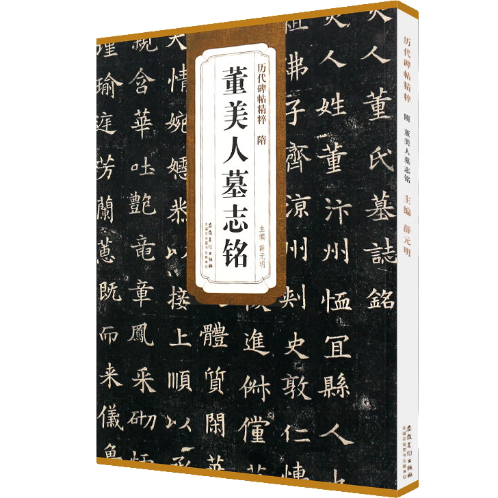 隋董美人墓志铭 历代精粹 简体旁注解析 楷书毛笔临摹练习知识书
