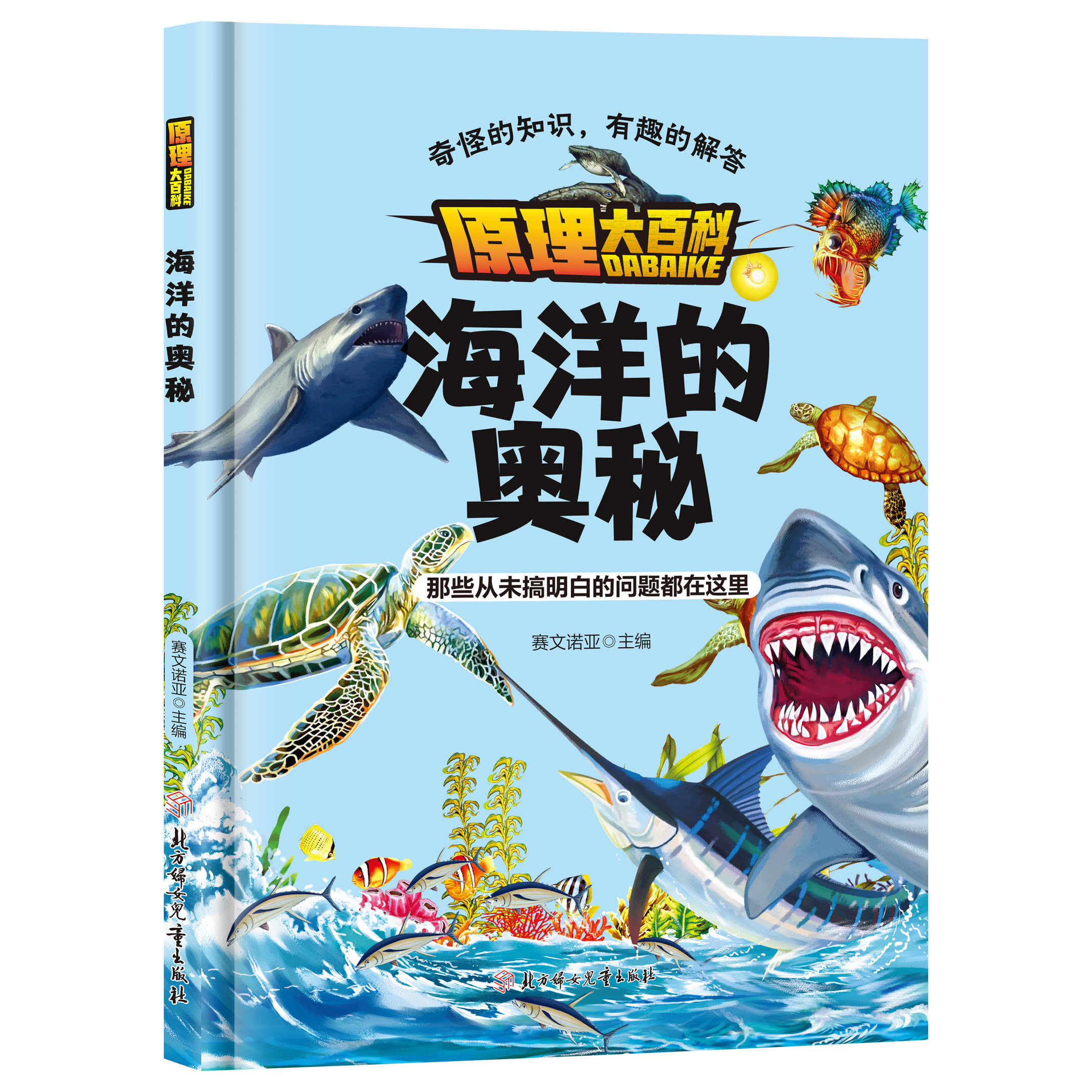 原理大百科海洋的奥秘 有趣的解答把枯燥的原理变成沉浸式探险