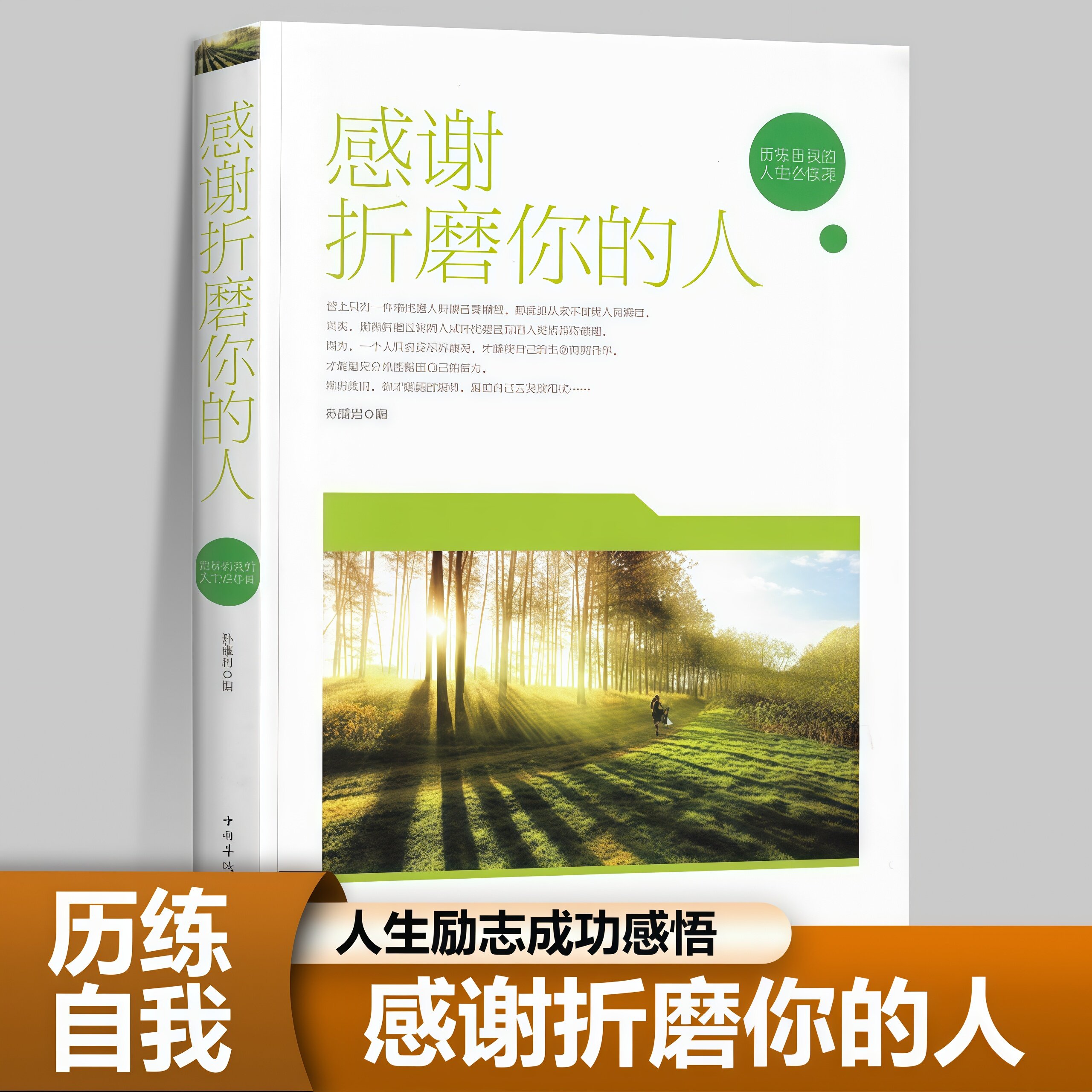 感谢折磨你的人 人生励志感悟成功事业爱情职场生活磨难阅读书籍
