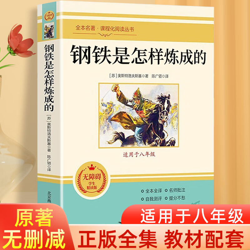 钢铁是怎样炼成的 正版原著书完整版无删减人教版初中生