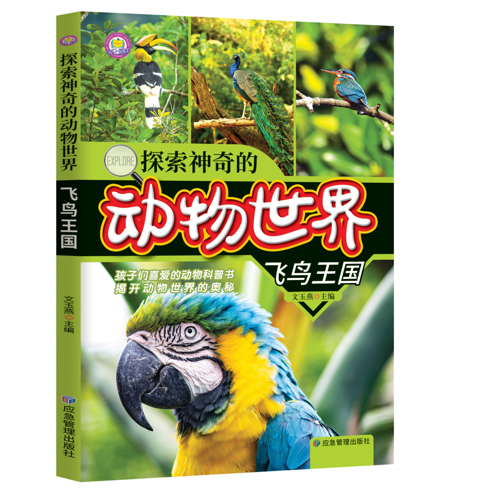 探索神奇的动物世界-飞鸟王国 正版孩子们喜欢的动物知识科普书籍