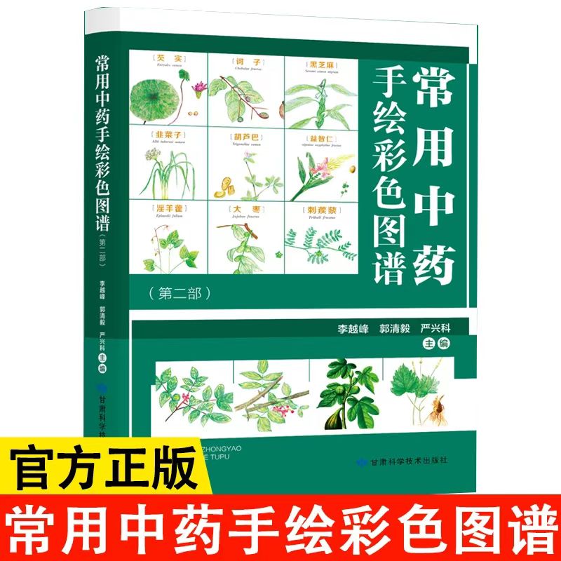 常用中药手绘彩色图谱第二部中草药识别应用图谱中药抓配功效讲解