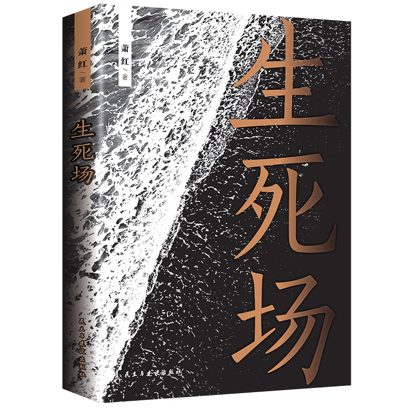 生 场人生感触悲怜情怀青少年小说经典名著中国当代文学作品选