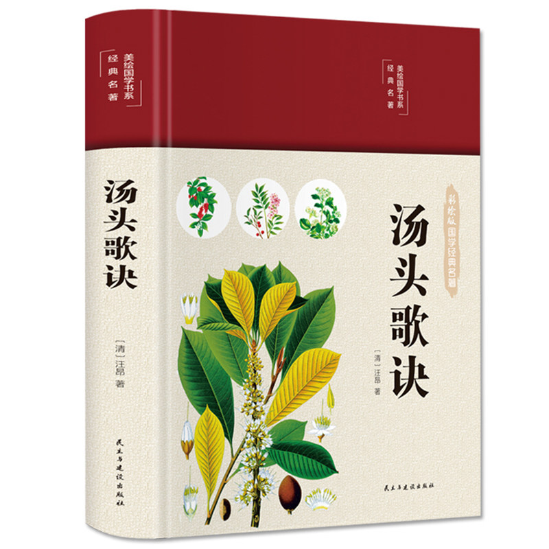 汤头歌诀白话解全书精装彩图中医药方民间家庭养生秘方大全中药书