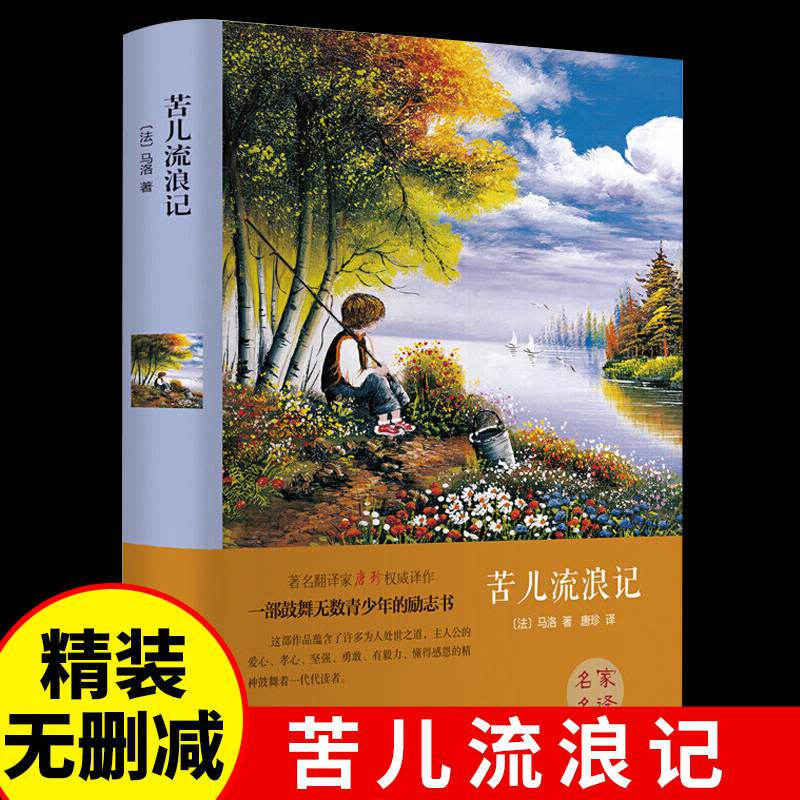 苦儿流浪记精装正版世界名著原版原著中文版名家名译经典文学名著