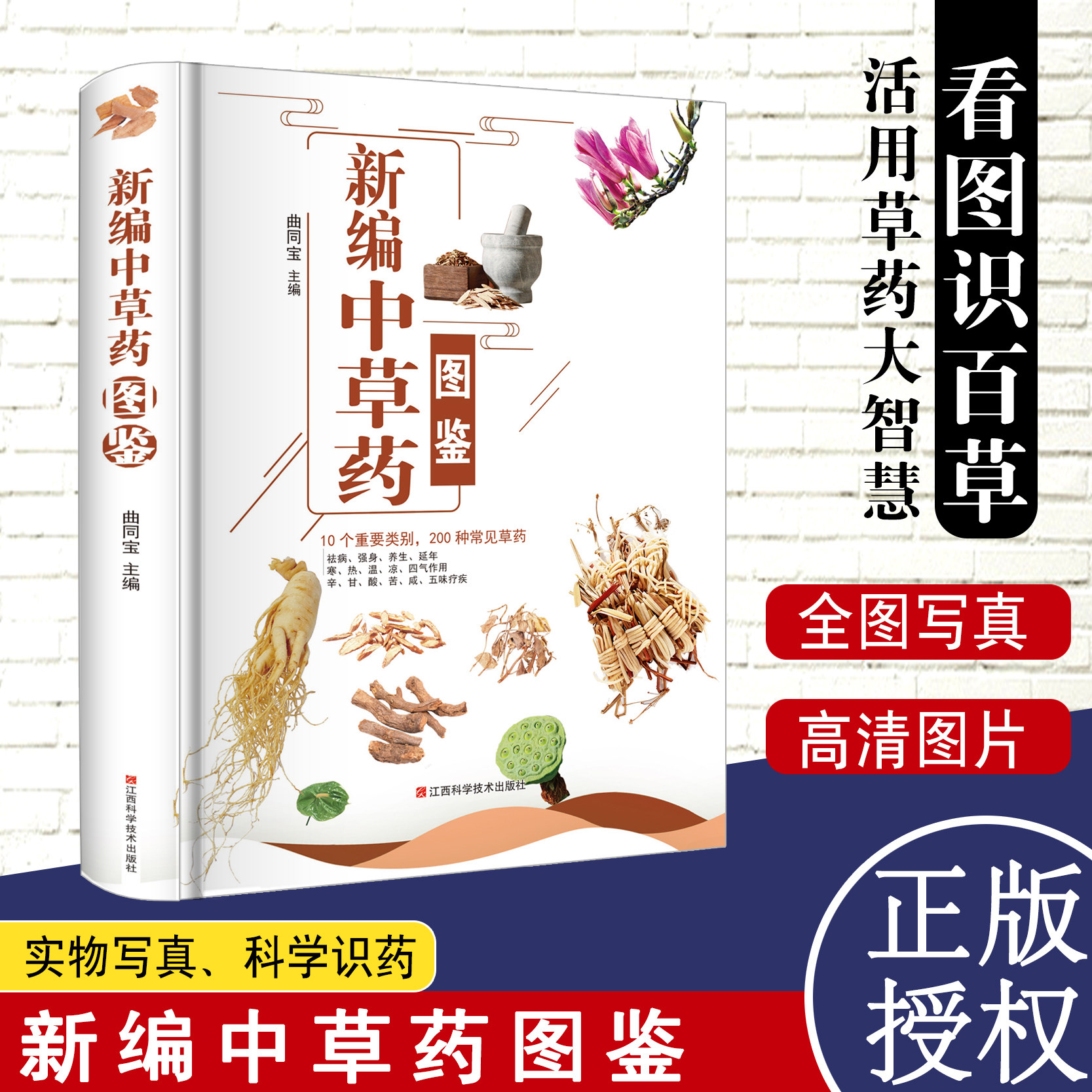 正版新编中草药图鉴 精装正版彩图中草药中药材识别图鉴中医入门