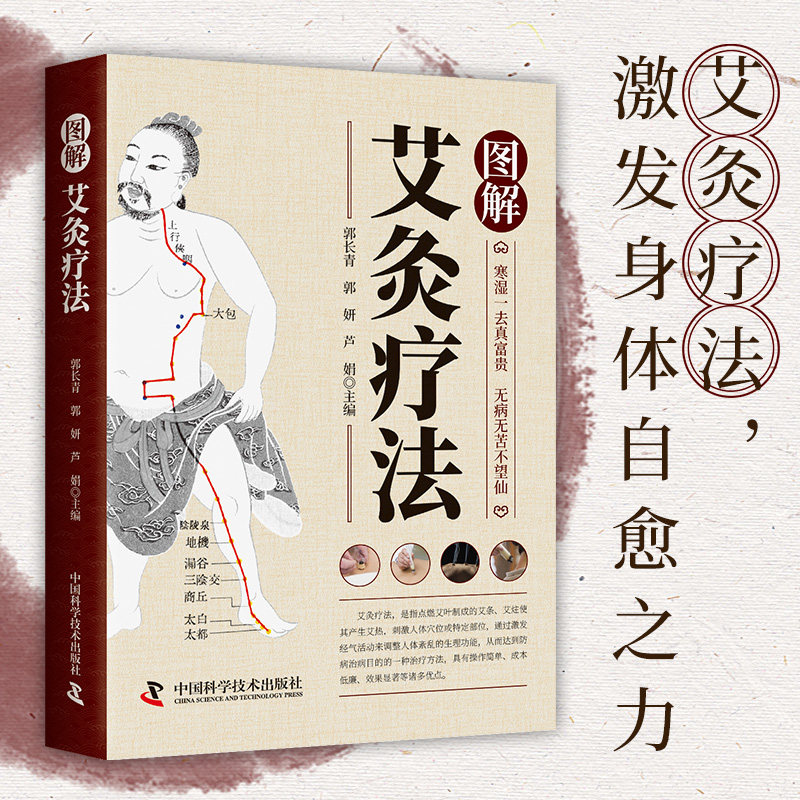图解艾灸疗法 医学科普读物 中医养生知识读物 中医图解百科大全