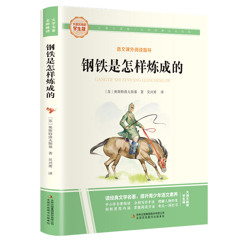 大语文系列 钢铁是怎样炼成的 世界名著旁批旁注中小学生课外阅读