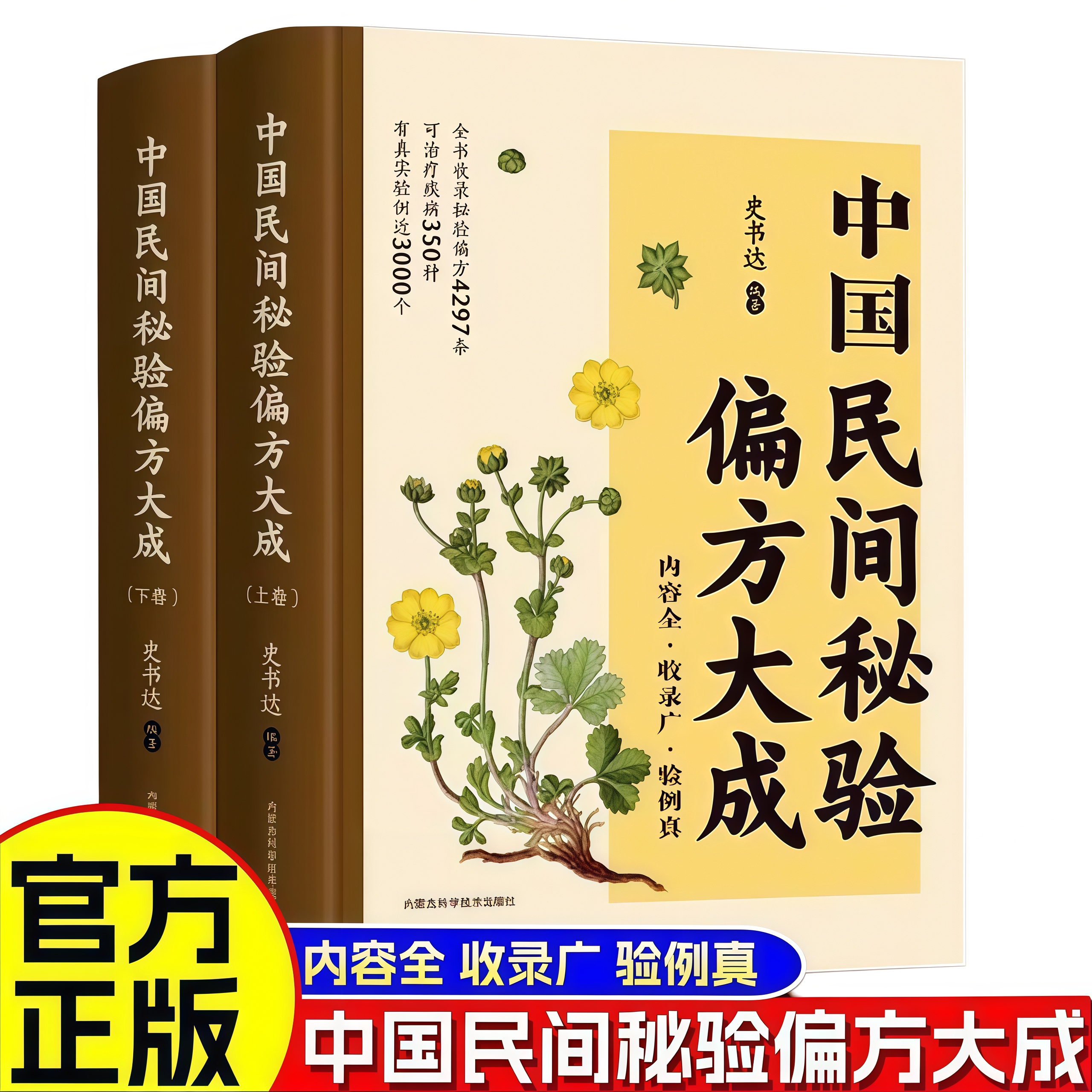 正版 上下卷 中国民间秘验偏方大成 内容全收录广史书达著病书籍