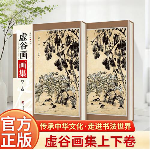 正版推荐 虚谷画集铜版彩印上下2卷渐江画册髡残画册书画阅读书籍
