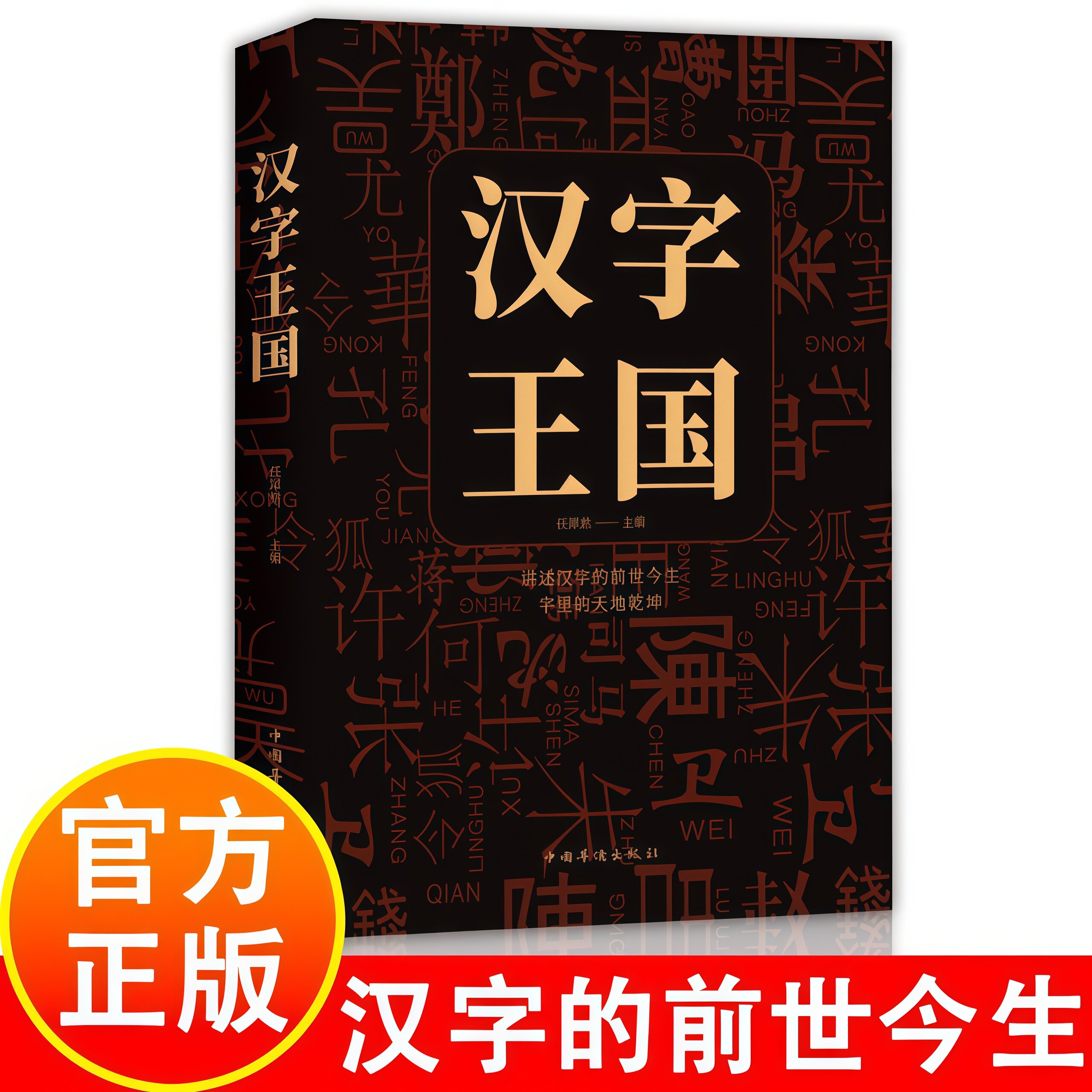 汉字王国 语言文字古代汉语字典古文字学研究详解部首咬文嚼字