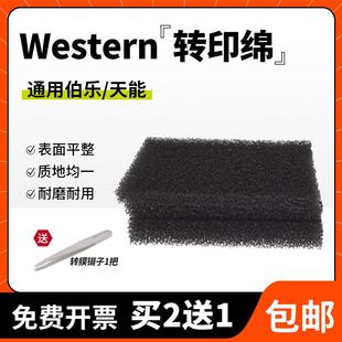 Western 天能 blot转印棉湿转转印海绵垫海绵衬垫多孔垫通用伯乐