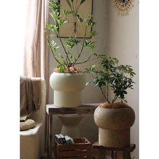 创意花盆,蘑菇花盆,高大的镁泥,绿色植物花盆,阳台窗户,清新