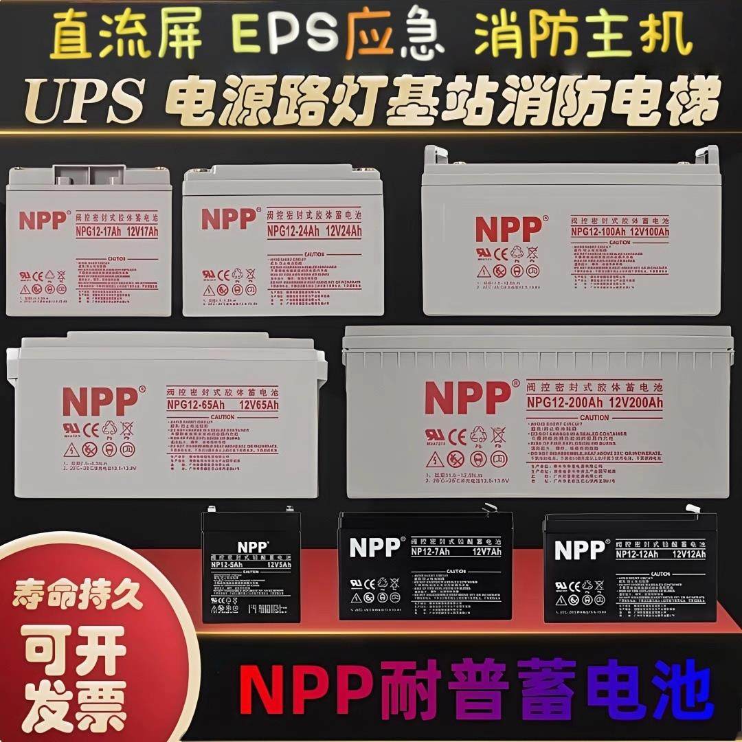 NPP耐普蓄电池NP100-12V65AH40A38A24A直流屏UPS电源应急储能电瓶