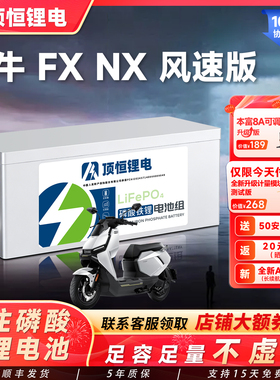 顶恒 小牛FX/NX风速版 电动车大容量高续航 磷酸铁锂电池