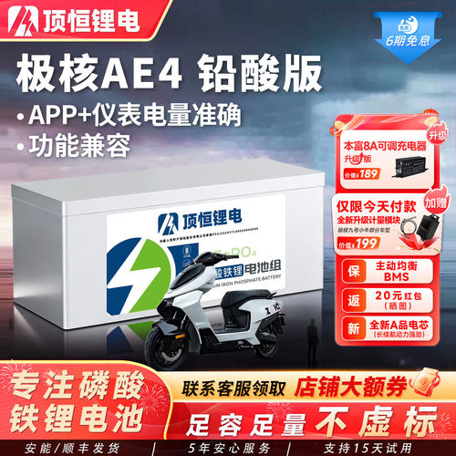 顶恒极核25款AE4磷酸铁锂电池