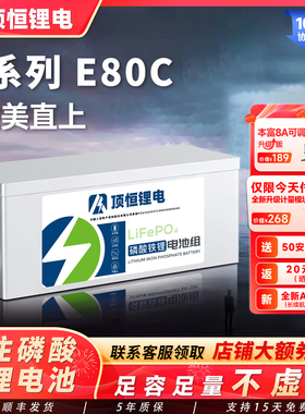 顶恒 适用于九号E80C MK2大容量磷酸铁锂电池E系电动摩托车锂电池