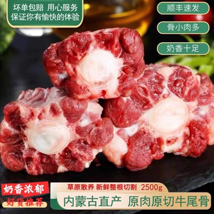 黄牛肉牛尾骨切段新鲜牛尾骨宝宝辅食牛尾巴内蒙原产原切黄牛肉