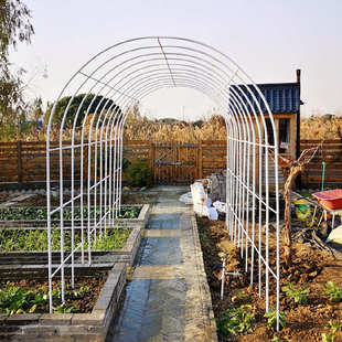 葡萄架爬藤架花园拱门庭院户外紫藤绿萝花支架拱形花架月季花架子