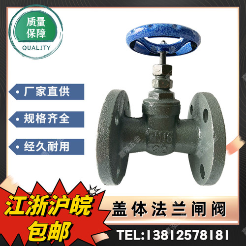 Z45T-16铜芯盖体闸阀小口径铸铁法兰暗杆闸阀DN25 32 40 50 65 80